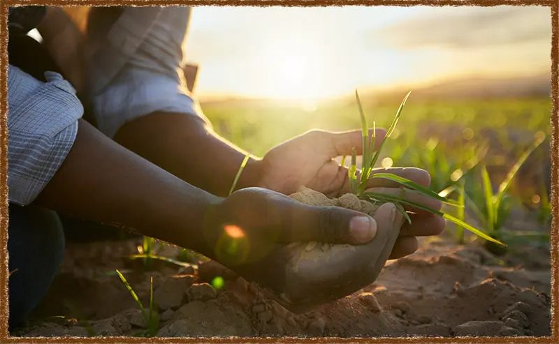 Soil conservation