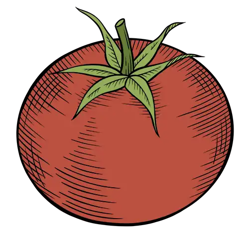 tomato